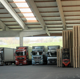 Logistik Krenzer Paletten