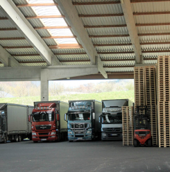 Logistik Krenzer Paletten